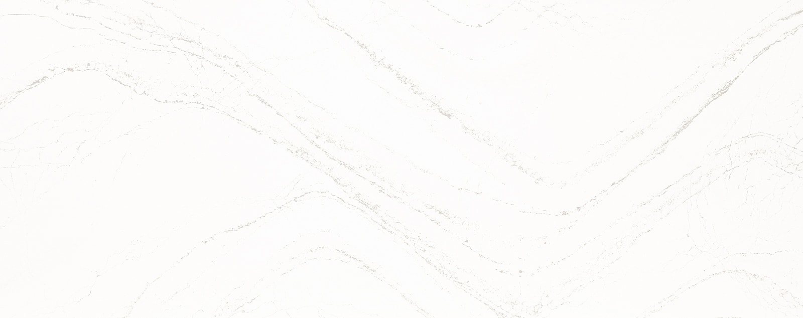 Elegant white marble with subtle gold veining.